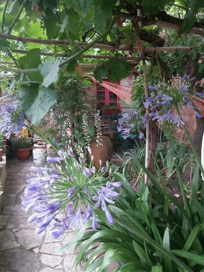 Sotto Il Castello Bed & Breakfast Trebiano Italy